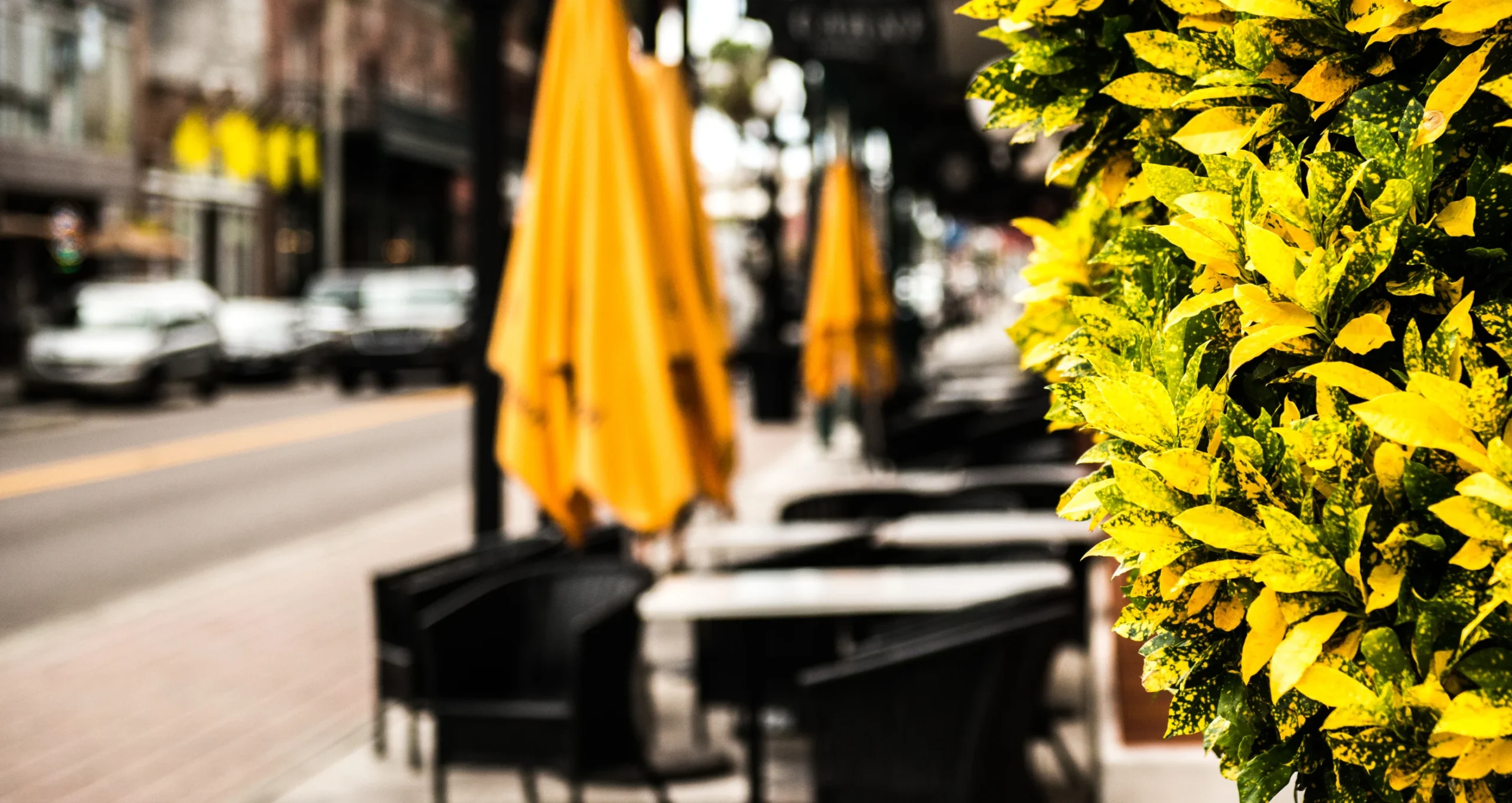 Economia Y Negocios En Ybor City