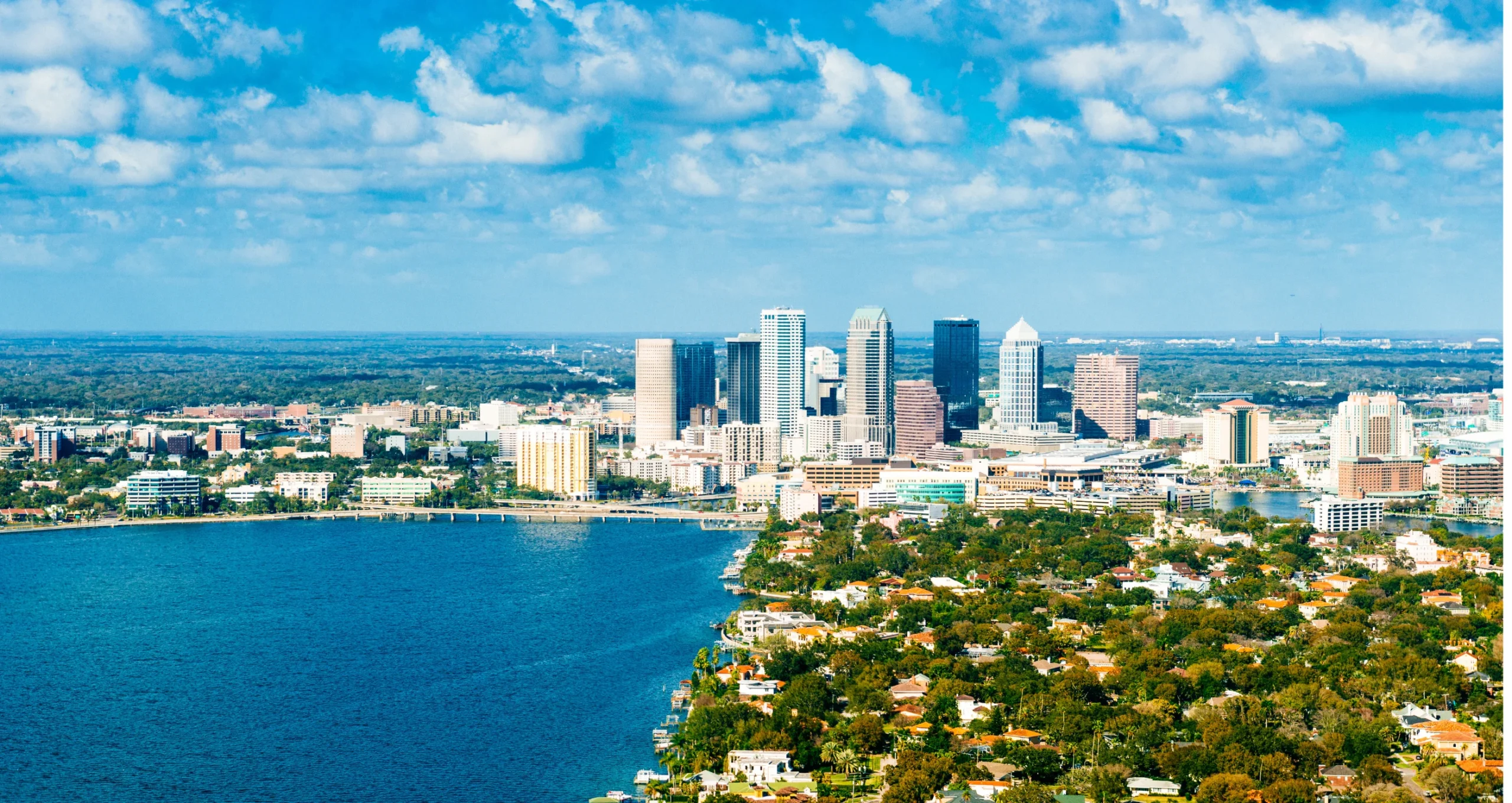 Vivir En Downtown Tampa