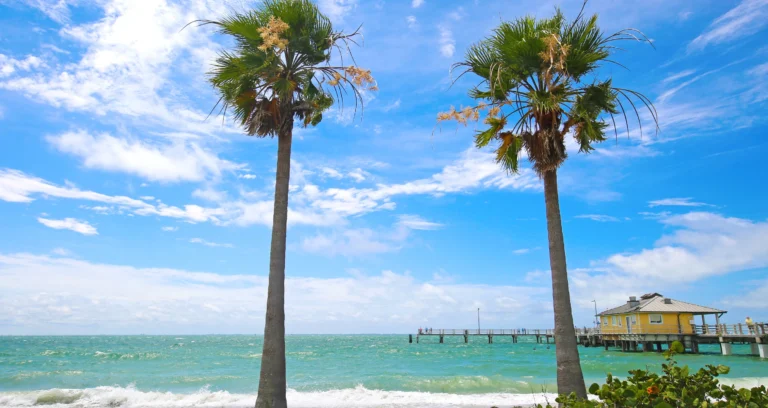 Vivir en Oldsmar, FL: Tu Guía Exhaustiva de esta Ciudad Familiar con Encanto Histórico y Natural