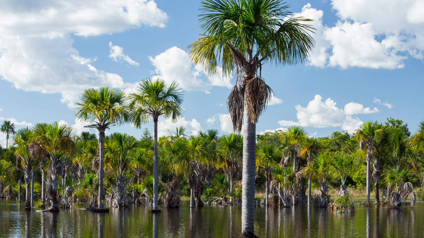 Spring hill, fl