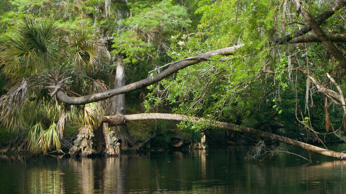 Temple terrace el oasis intelectual y natural de tampa