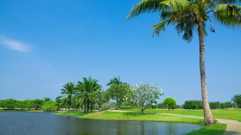 Vivir en Spring Hill, Florida: Guía de la «Nature Coast» de Florida