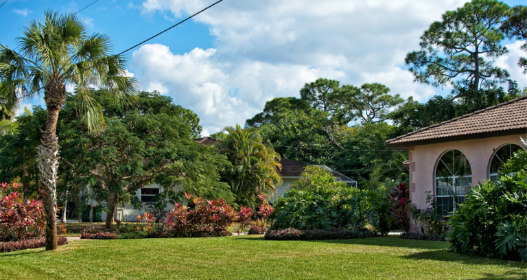 Guía para Vivir en Citrus Park: El Suburbio Mejor Conectado de Tampa