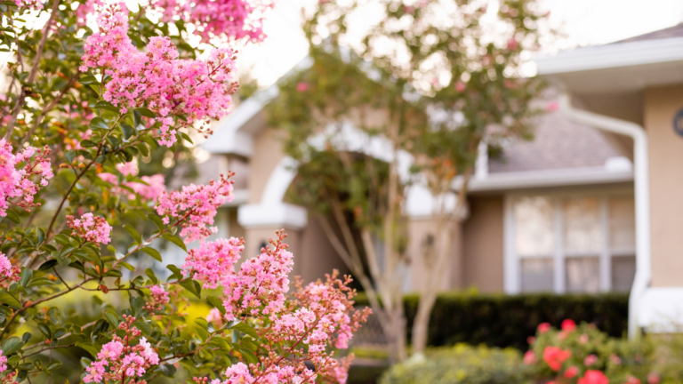 Vivir en Winter Garden, FL: Guía Completa del Suburbio de Ensueño de Orlando